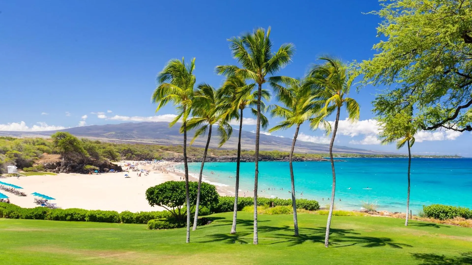 Ocean Breeze Panoramic Ocean View Mauna Kea Resort Optional Privileges Waimea  Lägenhet
