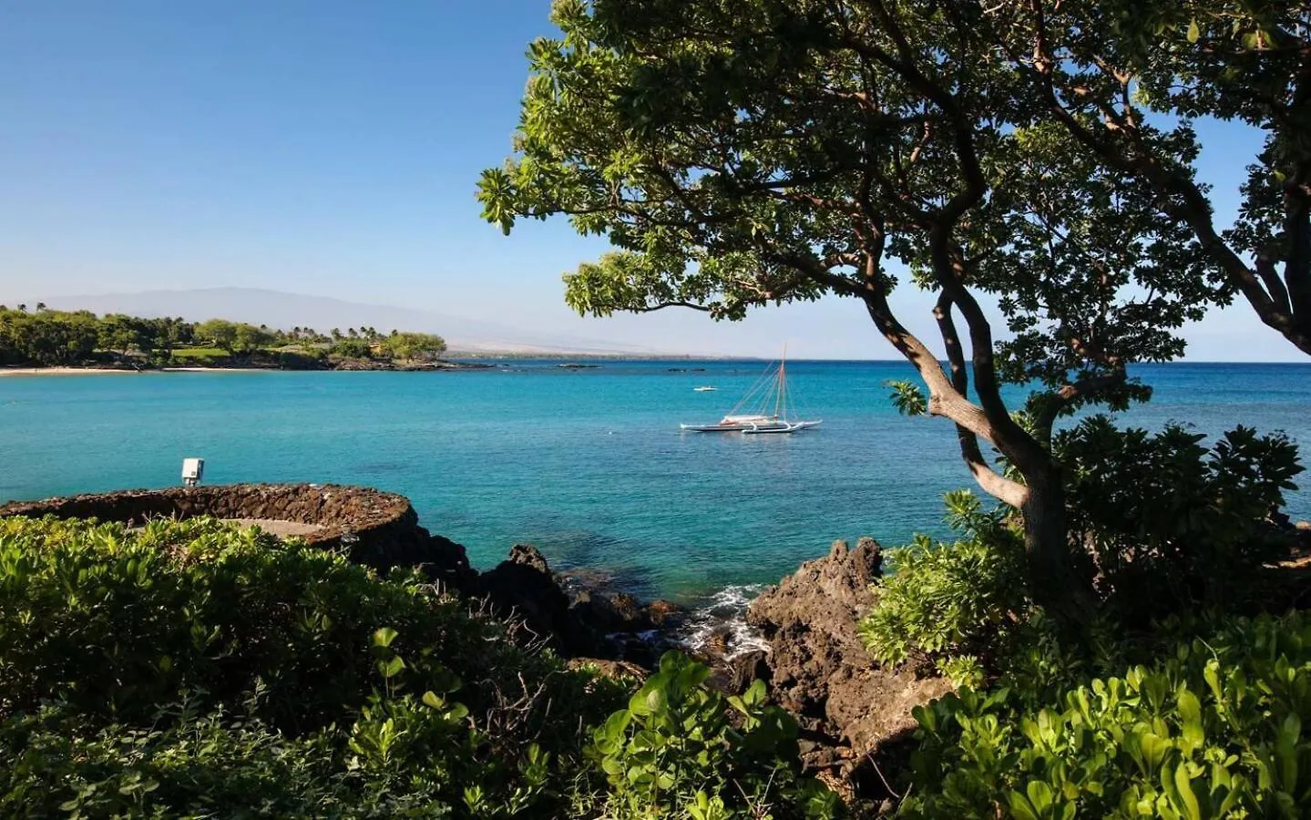 Ocean Breeze Panoramic Ocean View Mauna Kea Resort Optional Privileges Waimea  Waimea (Hawaii)